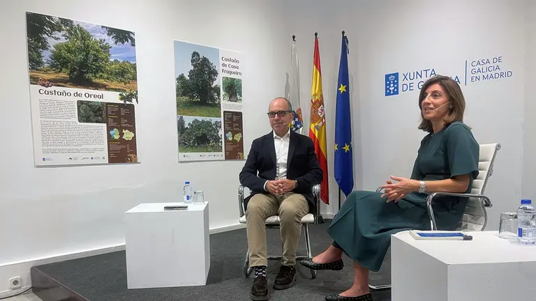 Casa Madrid-Angeles Vazquez 1