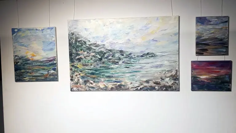 Exposicion Terrassa 14