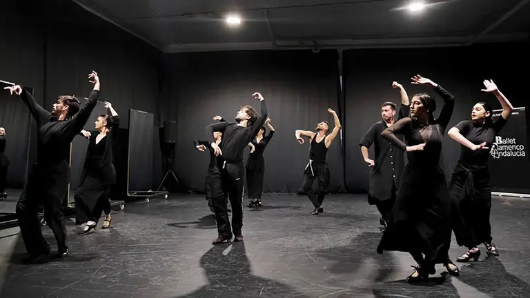 Ballet Flamenco