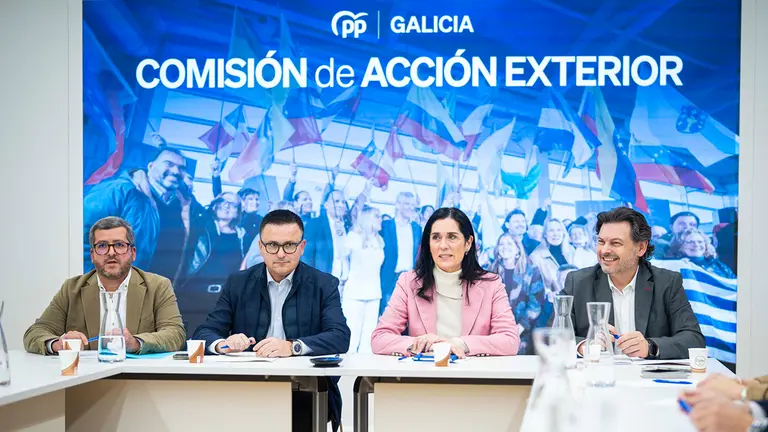 Comision Accion Exterior PPdeG