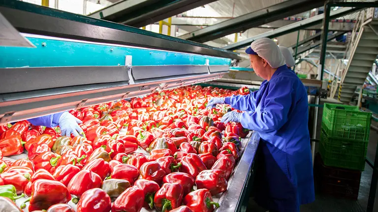 Exportaciones-Cooperativa almeriense