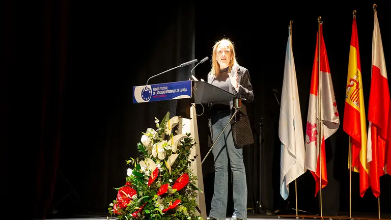 Festival Casas Regionales 2