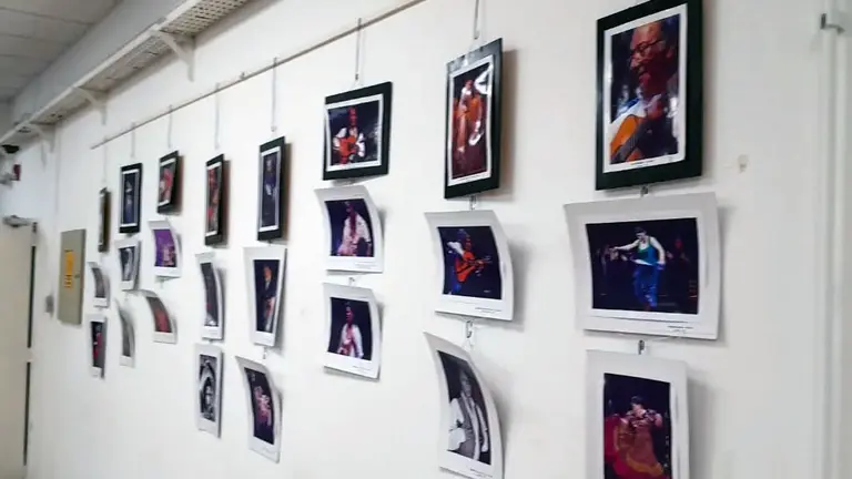 Centro Bahia Blanca-Dia Flamenco 1