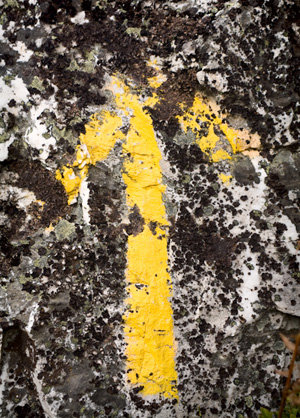 1.EP.Traces_1(Arrow).Lugo.2006.outono