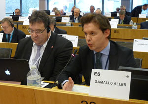 Jesús Gamallo, durante su intervención en el Comité de las Regiones.