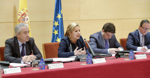 Rosa Valdeón, en el Consejo de Políticas Demográficas.