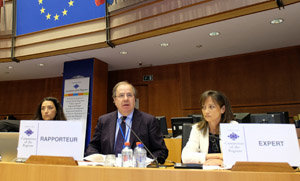 Juan Vicente Herrera y María de Diego, en el Comité de las Regiones. 
