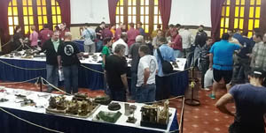 Mucho público asistió a la exposición para observar las piezas.