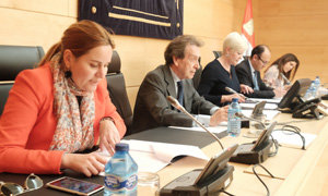 De Santiago-Juárez, durante su comparecencia en la Comisión de Economía del Parlamento.