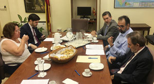 Un momento de la reunión en la que se eligió a Pahino como representante en el CGCEE.