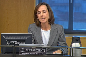 Victoria González-Bueno, durante su comparecencia en el Congreso.