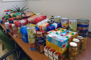 Muestra de los alimentos recogidos durante la campaña.