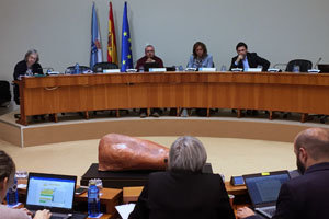 Antonio Rodríguez Miranda, durante su comparecencia en el Parlamento.
