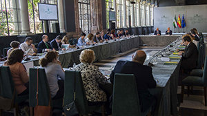 Jiménez Barrios presidió el Pleno de Comunidades Andaluzas.