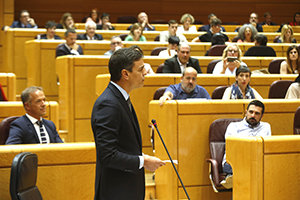 Pedro Sánchez, en un momento de su intervención en el Senado.
