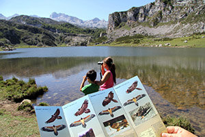 Unos niños observando el quebrantahuesos.