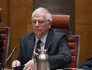 Jospe Borrell, en la comisión de Asuntos Iberoamericanos.