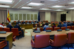 Un momento de la sesión de los miembros del CGCEE ante la subcomisión.