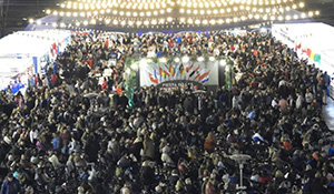 fiesta colectividades Santa Fe 2019 I'