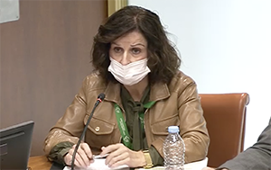 Presupuestos País Vascos. Miriam Elorza