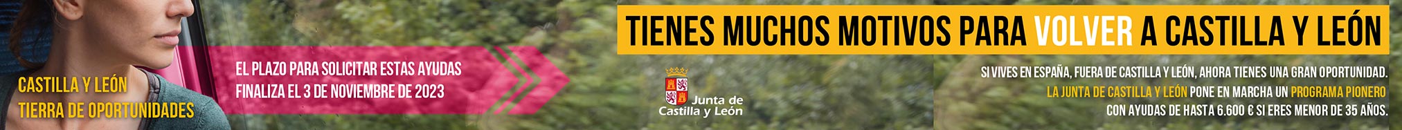 Publicidad 116545